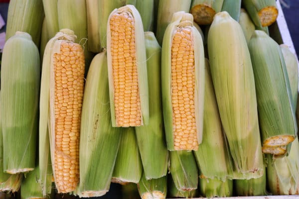 Corn on the Cob Smoking Tips