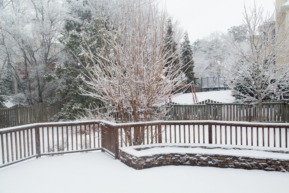 winter BBQ backyard