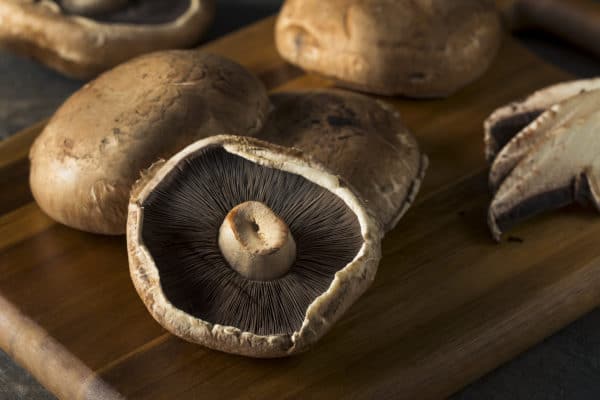 Portobello Mushroom Smoking Tips