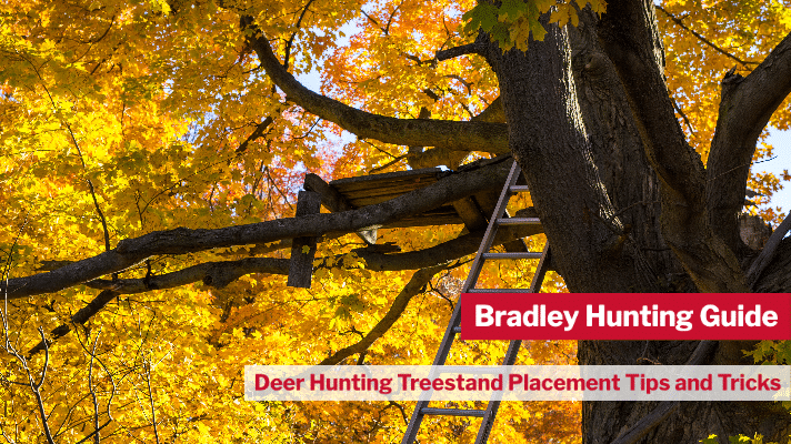 Deer Hunting Treestand Placement Tips and Tricks