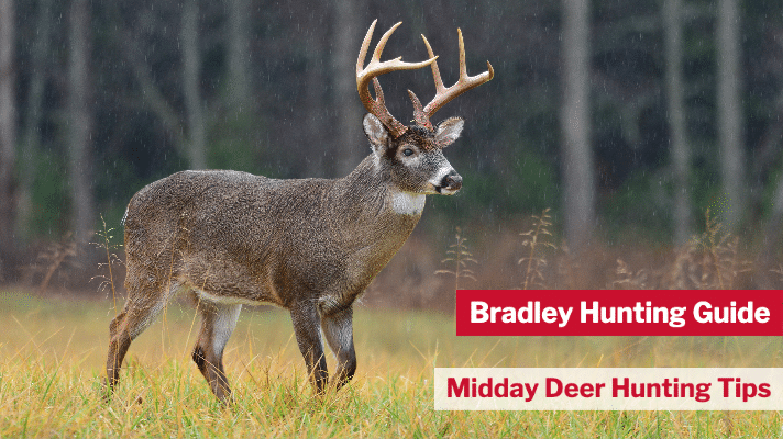 Midday Deer Hunting Tips