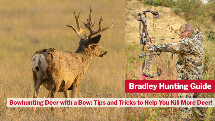 Spot and Stalk Bowhunting Deer with a Bow: Tips and Tricks to Help You Kill More Deer!